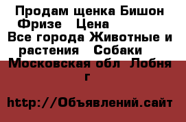 Продам щенка Бишон Фризе › Цена ­ 30 000 - Все города Животные и растения » Собаки   . Московская обл.,Лобня г.